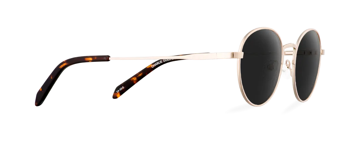 Okulary przeciwsłoneczne Charlie Gold/Dark Havana